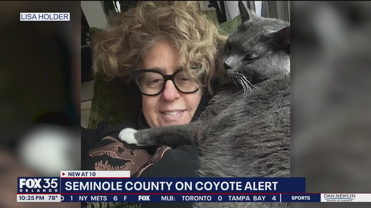 Sanford neighborhood worried coyotes are killing pets