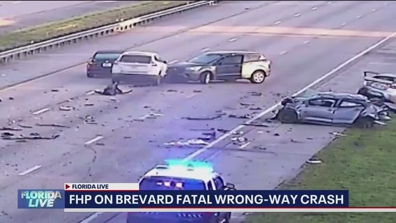 FHP shares information, guidance after deadly wrong-way collision