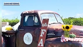 Fun fall and Halloween events in Central Florida