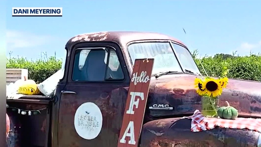 Fun fall and Halloween events in Central Florida