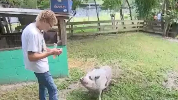 Journey's End Animal Sanctuary in DeLand