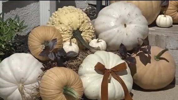 Decorating pumpkins on first day of fall