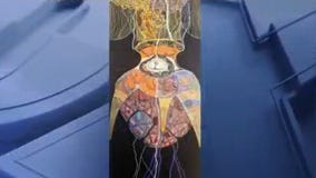 Showcasing Hispanic & Latin American artists in Orlando