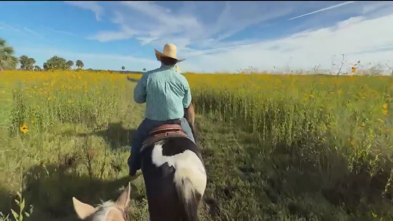 Fall fun at the Central Florida Zoo & Botanical Gardens