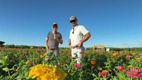 10th annual Fall Festival at Southern Hill Farms