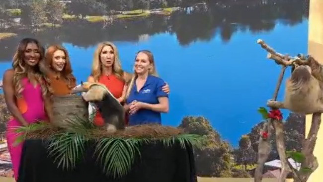 Wild Wednesday with Discovery Cove