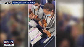 LIKE IT OR NOT: Ukuleles on Southwest flight