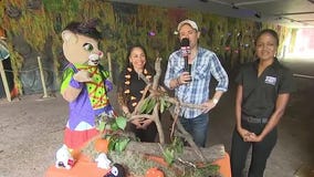 ZooTampa's 'Creatures of the Night' event