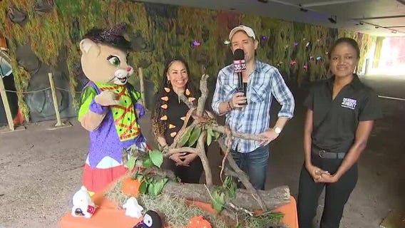 ZooTampa's 'Creatures of the Night' event