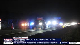 3 killed in Volusia County hit-and-run crash
