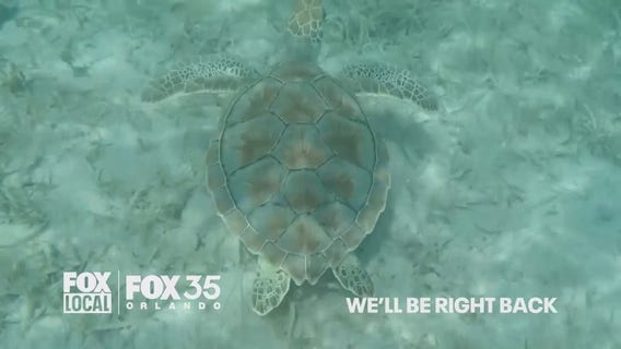 FOX 35 Late News at 11PM