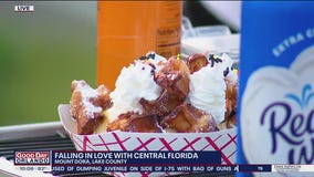 Waffles & Cream and Around Mount Dora Store