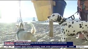 Volusia leaders to discuss new dog-friendly beach location