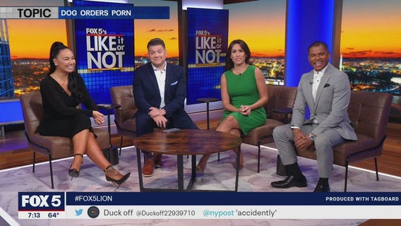 LIKE IT OR NOT: Dog orders porn