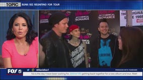 Blink 182 back on tour - Like It Or Not?