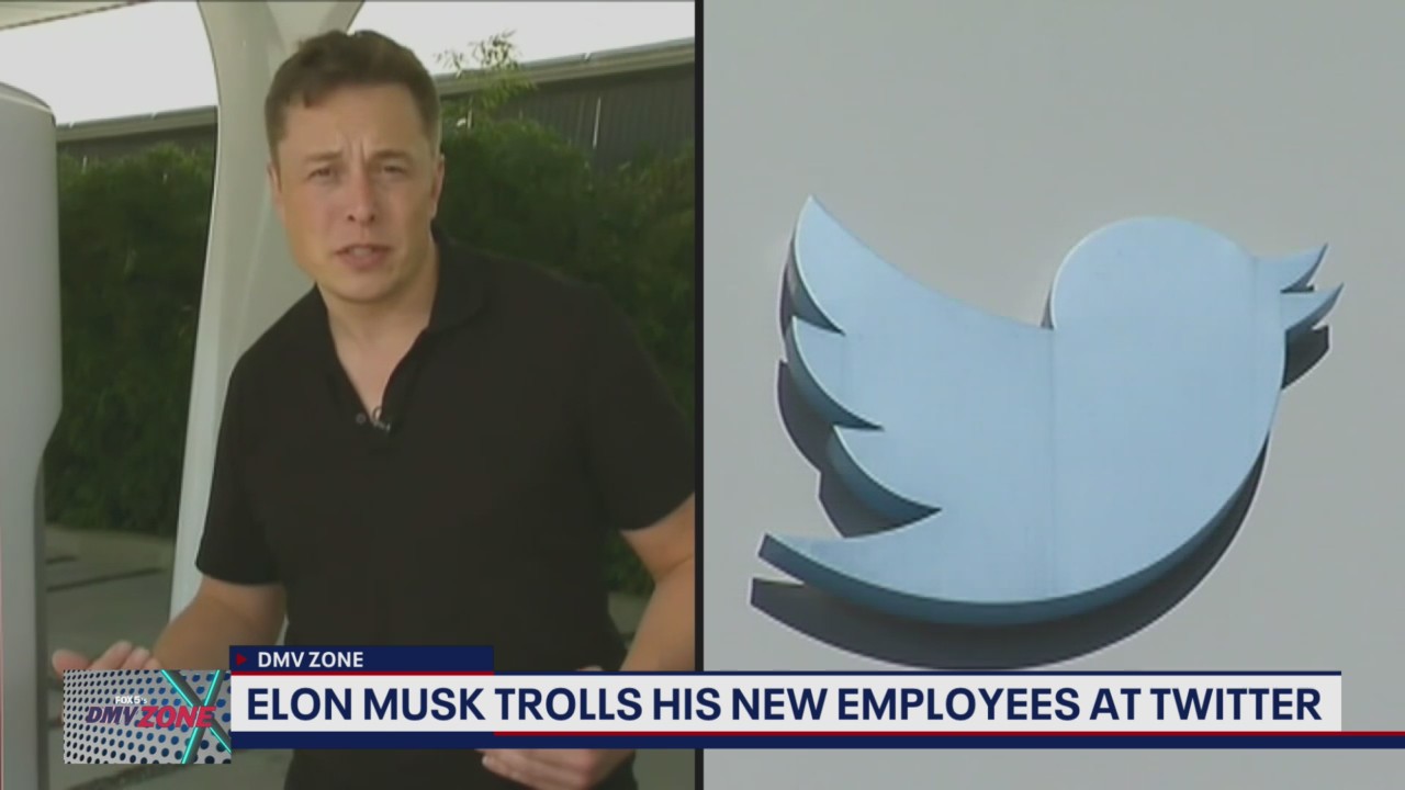 Elon Musk trolls new employees at Twitter