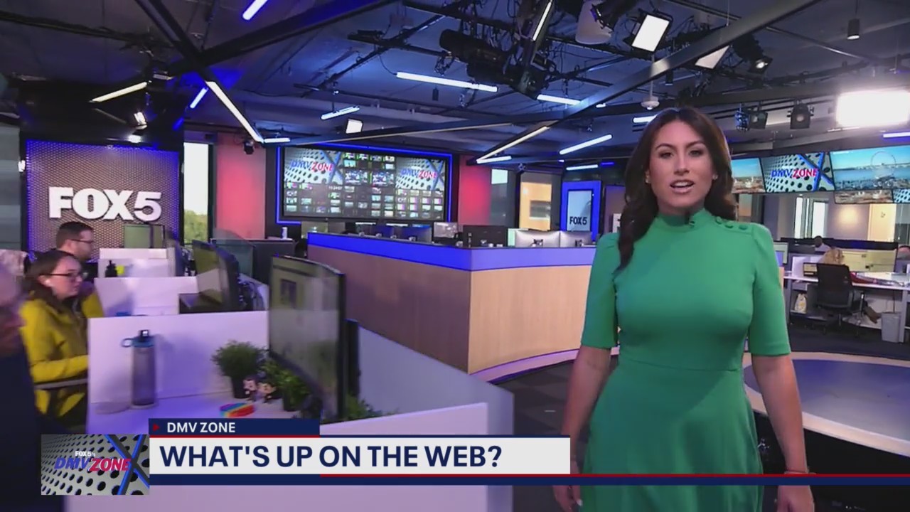 What's Up on the Web: Post-Election Edition & Diversity