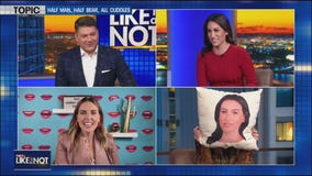 Man bear pillow: Creepy or cuddly?