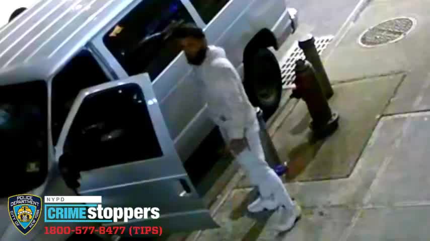 Robbers break in, take sneakers, cash