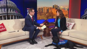 On The Hill: Service dogs for veterans
