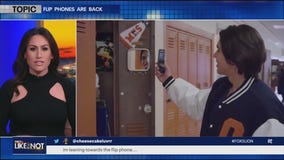 Flip phones are back