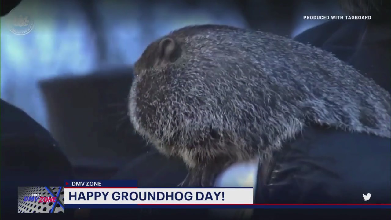 Was Punxsutawney Phil right in his prognostication?