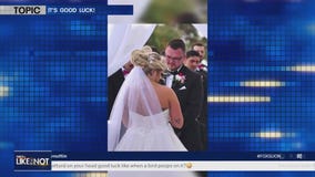 Bride gets unfortunate sign of good luck