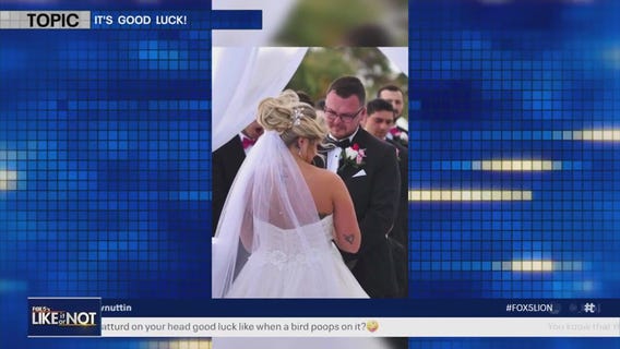 Bride gets unfortunate sign of good luck