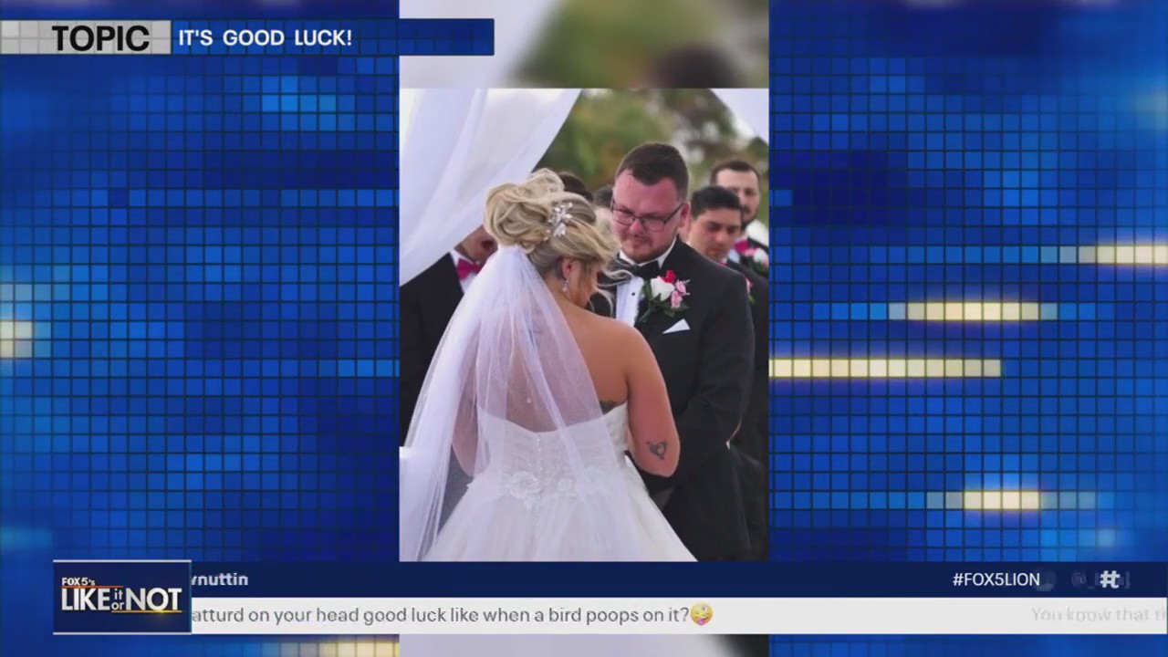 Bride gets unfortunate sign of good luck