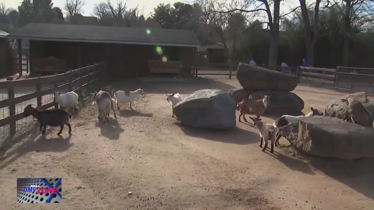 First look at Nova Wild