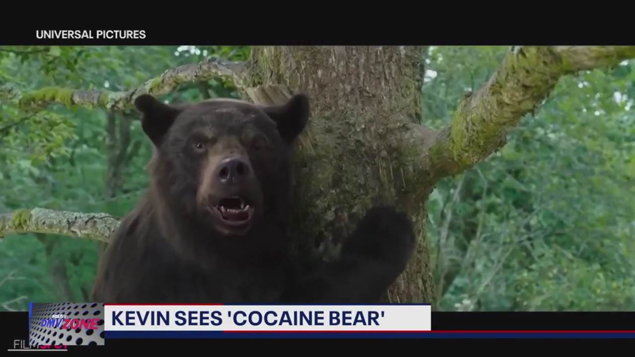 Elizabeth Banks talks directing "Cocaine Bear"