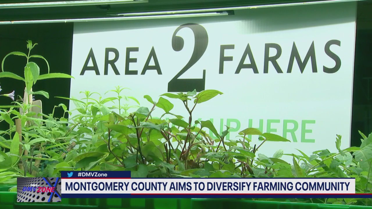Montgomery County aims to diversify farming community