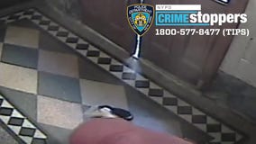 Man caught on video attacking, attempting to rape woman in the Bronx