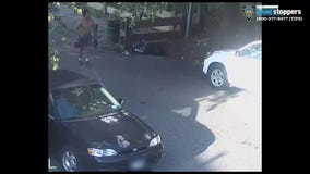 NYPD searching for attempted rape suspect