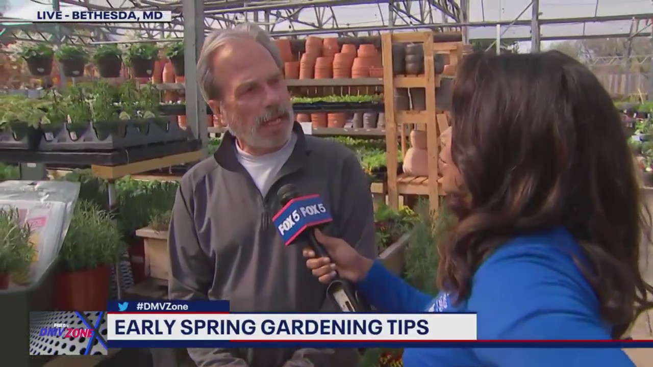 Early spring gardening tips