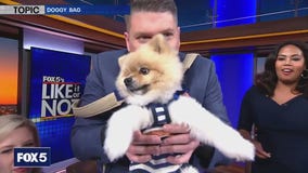 Doggy bags - Like It Or Not?