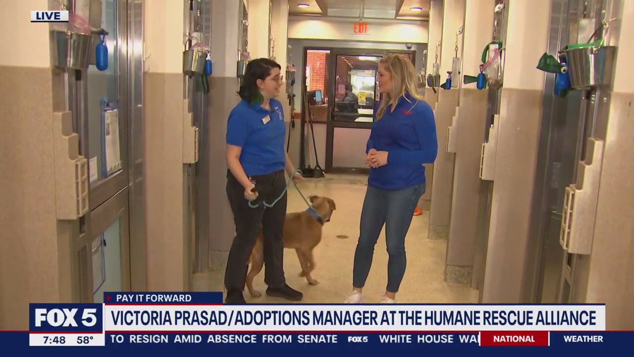 Humane Rescue Alliance Adopt-A-Thon!