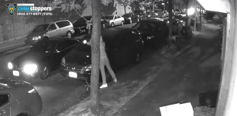 Gunman shoots man sitting in car in the Bronx