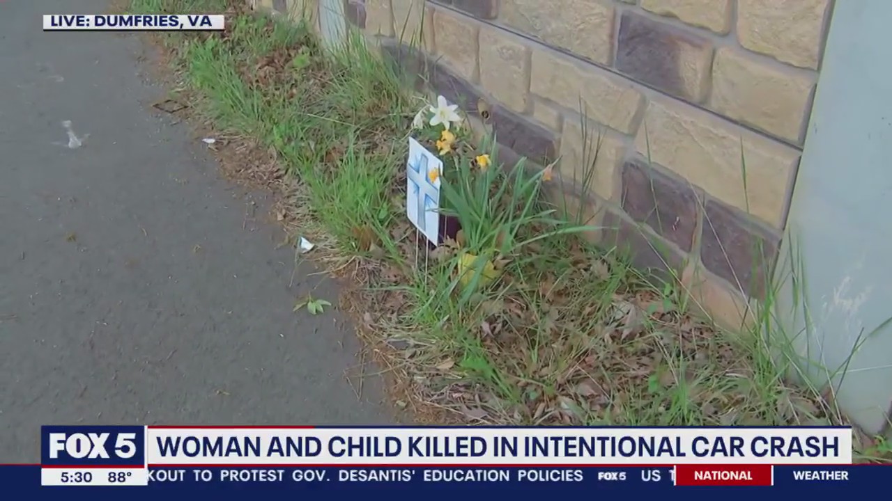 Family mourns woman and child killed in intentional car crash in ...
