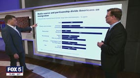 New polls show stark divide on guns, immigration