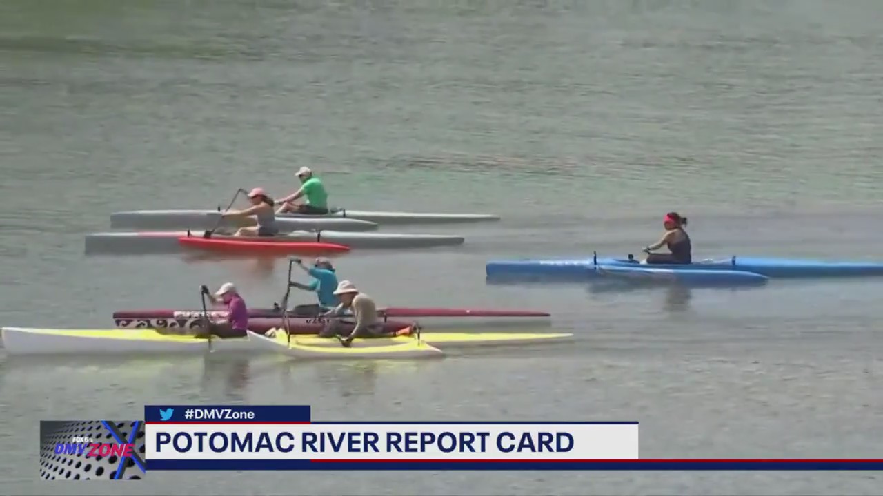 Is it safe to swim in the Potomac River?