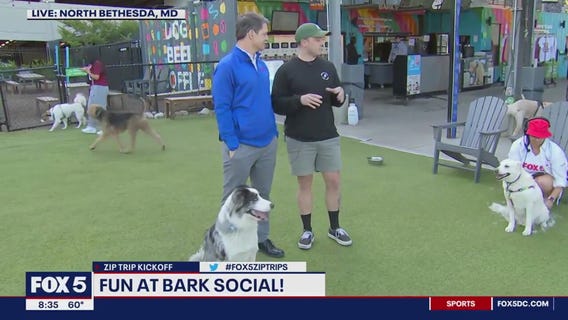 Fun at Bark Social