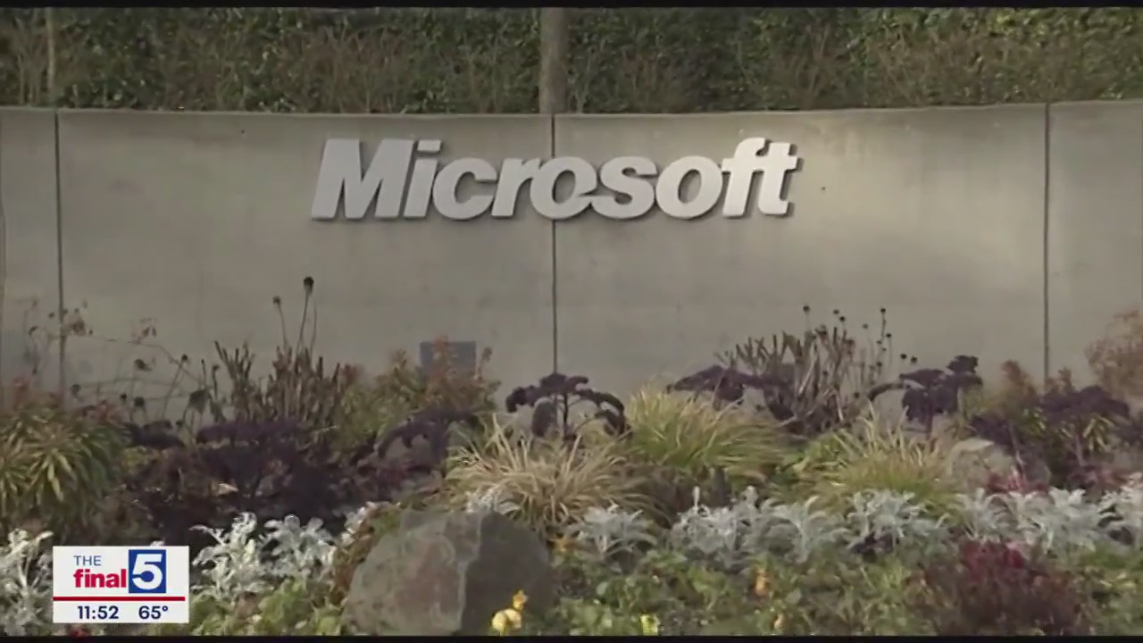 Microsoft?s Activision Blizzard gamble faces regulatory battle