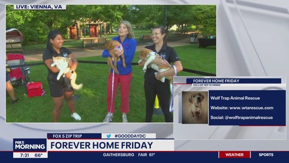 Vienna?s Forever Home Friday