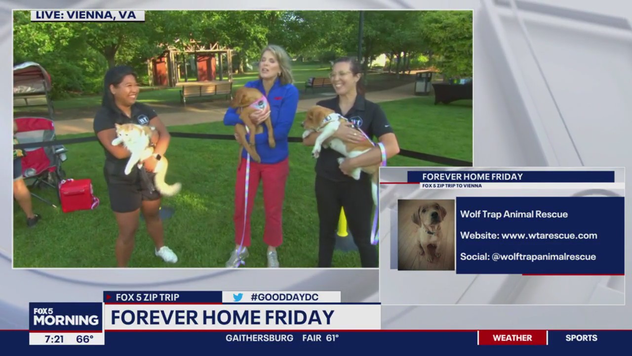 Vienna?s Forever Home Friday