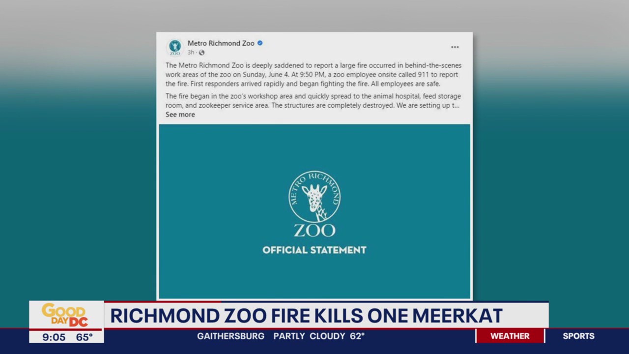 Meerkat killed in fire at Metro Richmond Zoo | FOX 5 DC