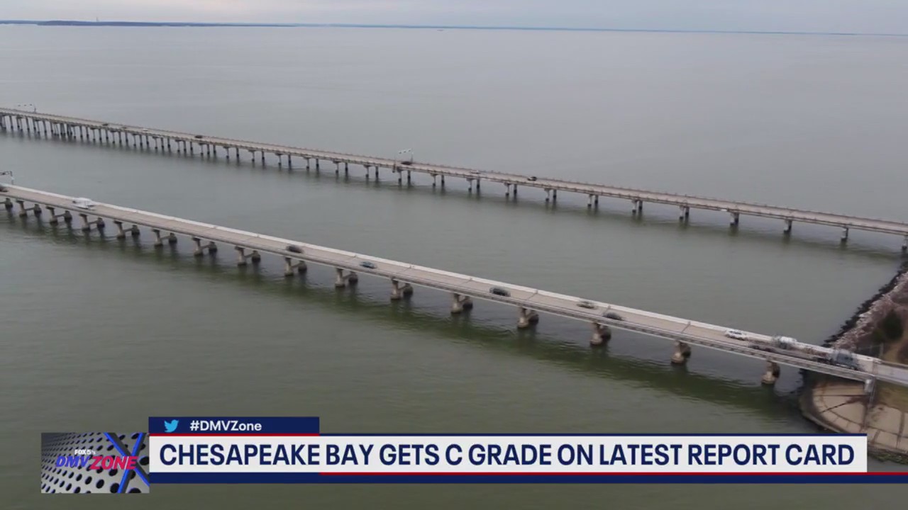 Chesapeake Bay gets C grade