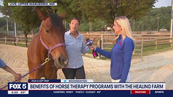 Horse therapy programs in Upper Marlboro