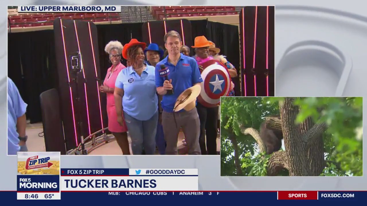 Zip Trip fun with B Lynch Entertainment