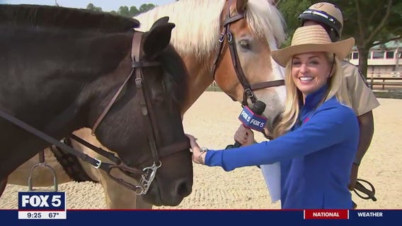 PG Mounted Park Police in Upper Marlboro